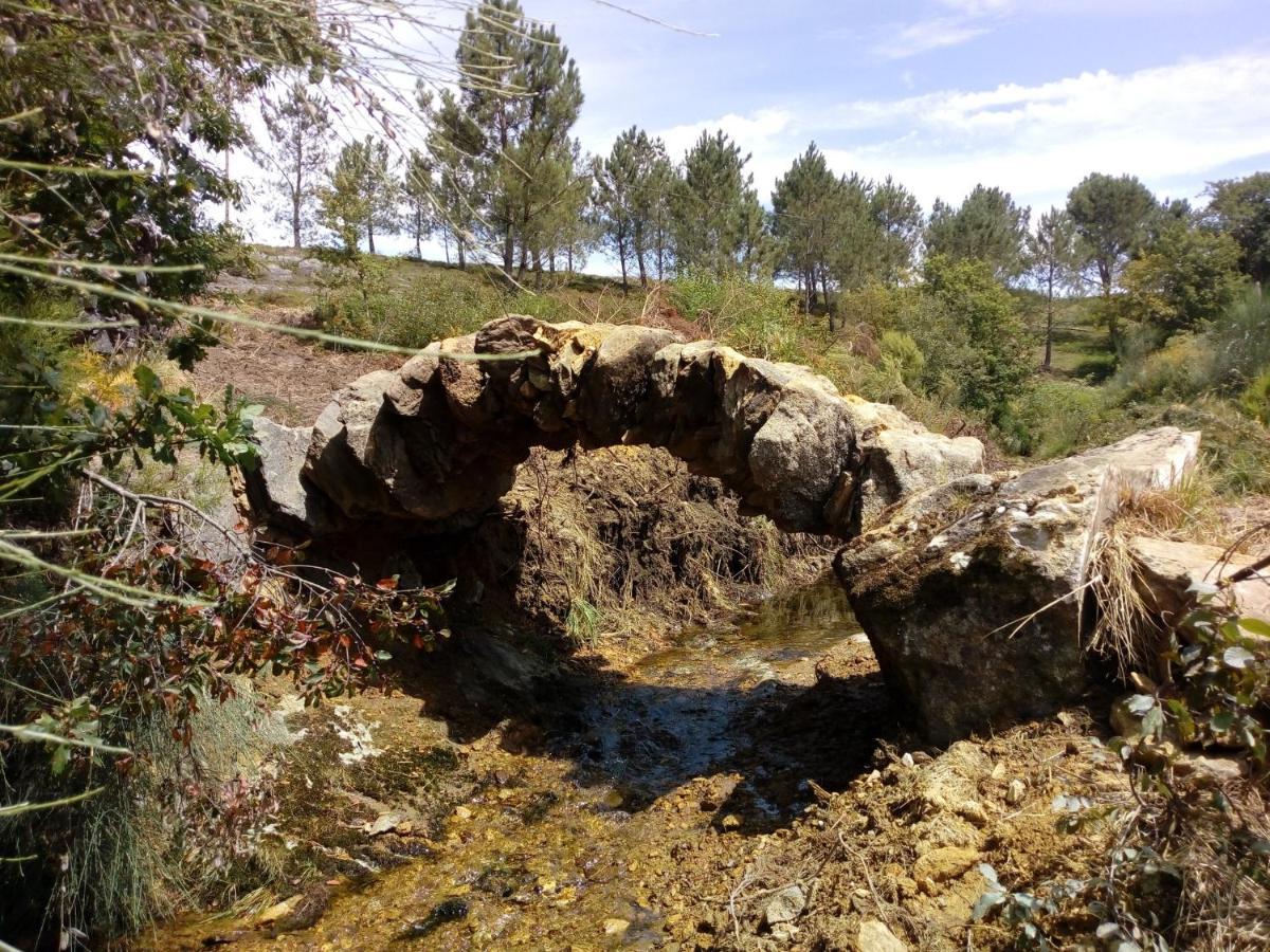 Foz Sunshine Daire Caminha Dış mekan fotoğraf